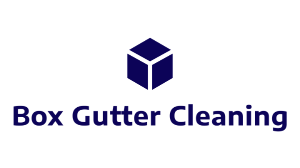 Box Gutter Cleaning