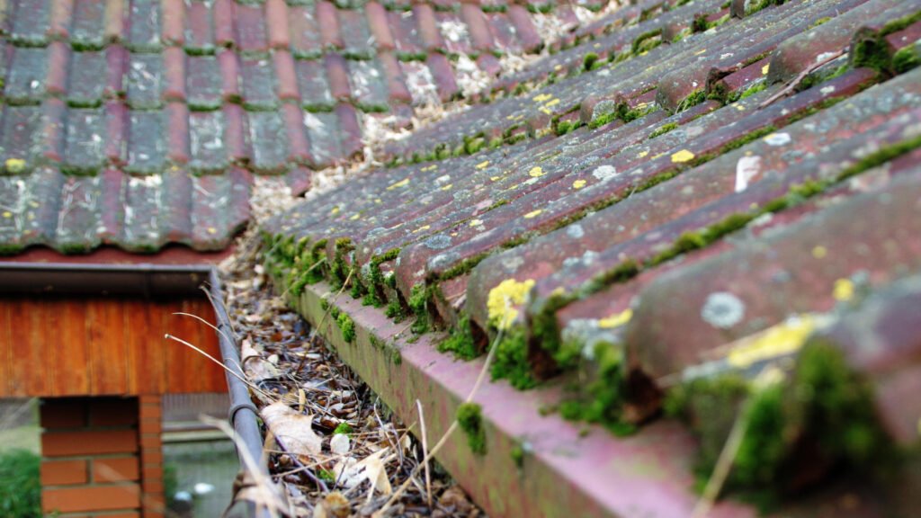 Clogged gutters with moss