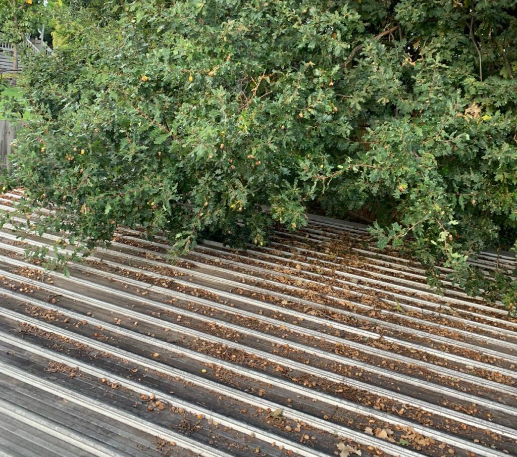 Roof covered in leaves