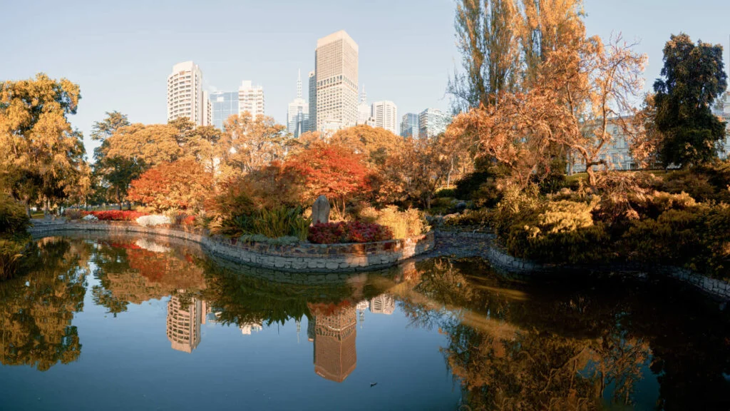 Melbourne skyline with autumn foliage